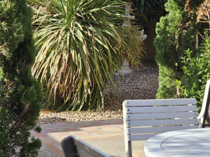 Afrodita, diosa alquímica