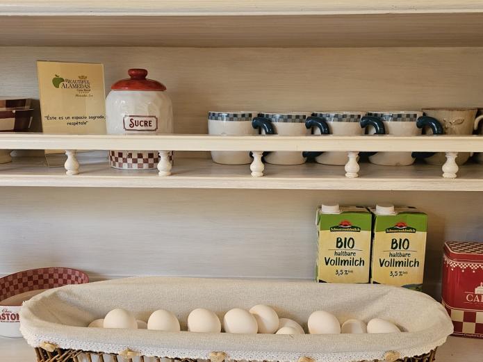 Beautiful Alamedas, economía de lo humano