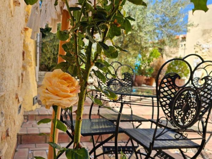 Beautiful Alamedas, un oasis de paz