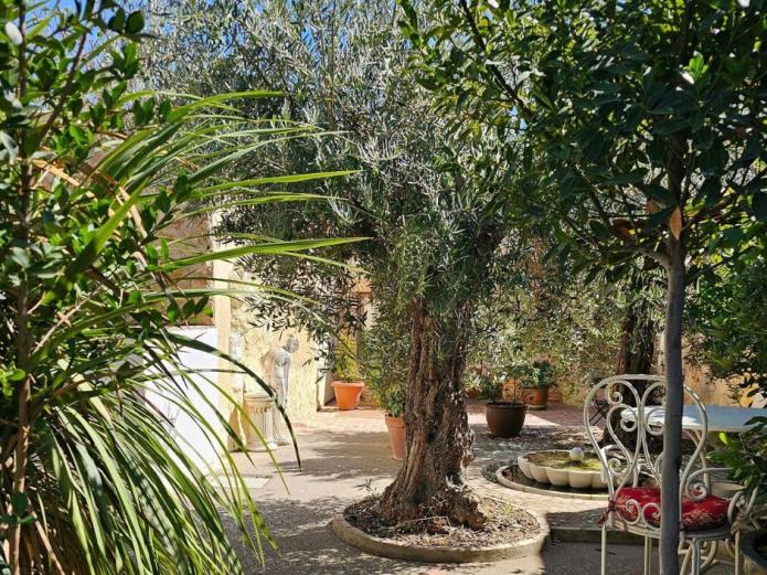 Beautiful Alamedas, un oasis de paz