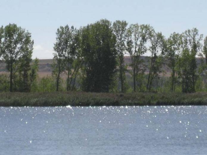 bullying valladolid, personas, niños altamente sensibles  