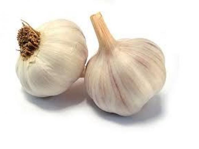 María José Celemín - Revista Ecología Espiritual - EsRadio Valladolid