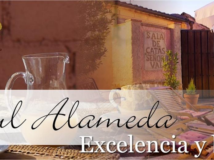 casas rurales con encanto, alquiler completo, Valladolid, Toro, Salamanca, Medina del Campo, Tordesillas, Zamora, parque natural, piscina, actividades, niños, enoturismo, comidas, caballos