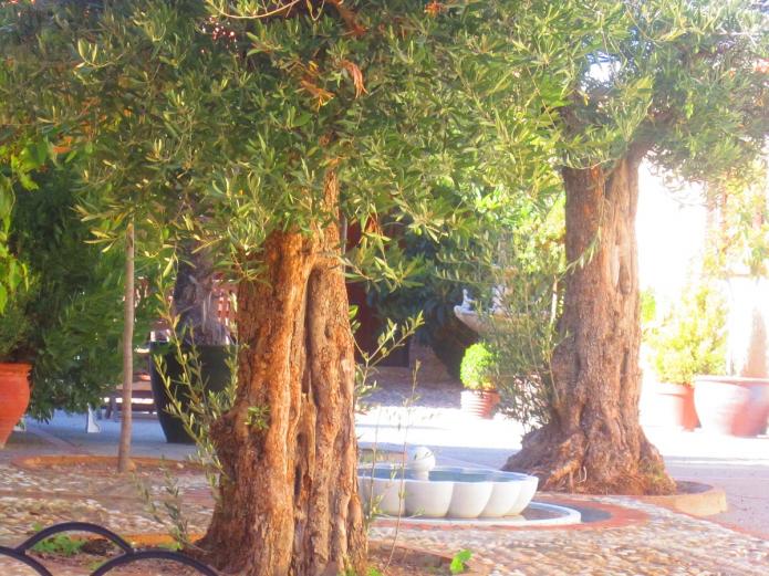 Casas rurales Valladolid