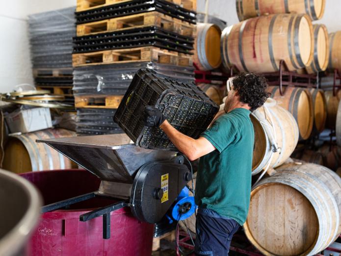 Estancia, masaje, dulces y libro