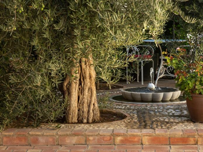 Estancia, masaje, dulces y libro