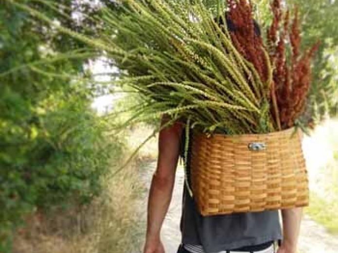 Lanas y Tintes Ecológicos - Mundo Lanar - www.mundolanar.com - Revista Ecología Espiritual - María José Celemín Lanas y Tintes Ecológicos - Mundo Lanar - www.mundolanar.com - Revista Ecología Espiritual - María José Celemín