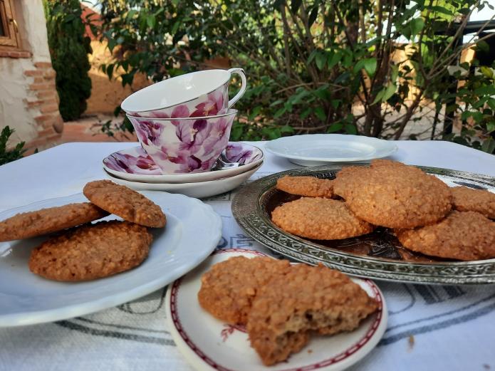 Galletas de avena ecológicas