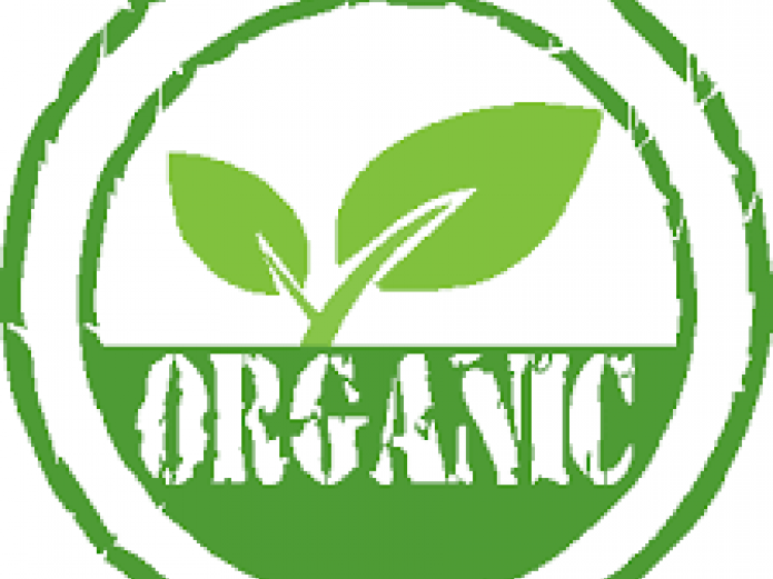 María José Celemín - Revista Ecología Espiritual - EsRadio Valladolid María José Celemín - Revista Ecología Espiritual - EsRadio Valladolid