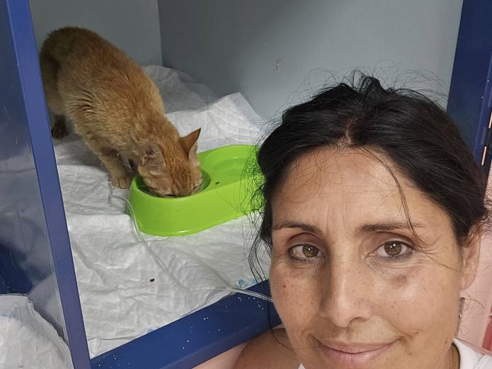 La extraordinaria labor de la Protectora de gatos Minka Cats