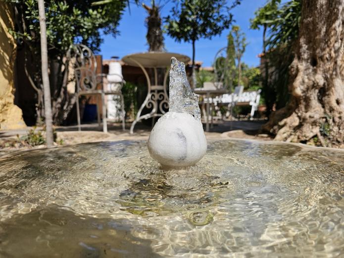 La historia detrás del jardín Beautiful Alamedas y Al-Kauthar 