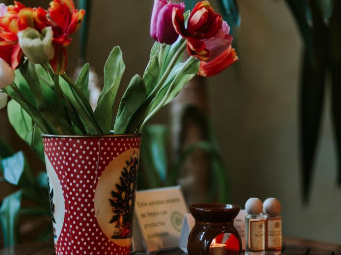 libros teresa de avila, arquetipos femeninos, sufismo, Ibn Arabi, conferencias motivacionales emprendedores, casas rurales con encanto Valladolid, Salamanca, Medina del Campo, Tordesillas, Toro, Zamora