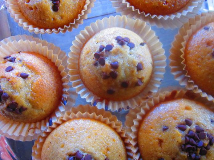 Magdalenas ecológicas online