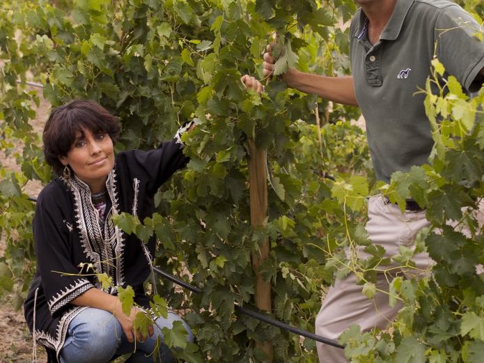 María José Celemín