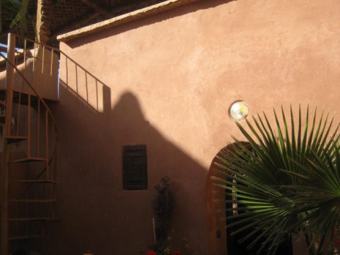 Revista Ecología Espiritual