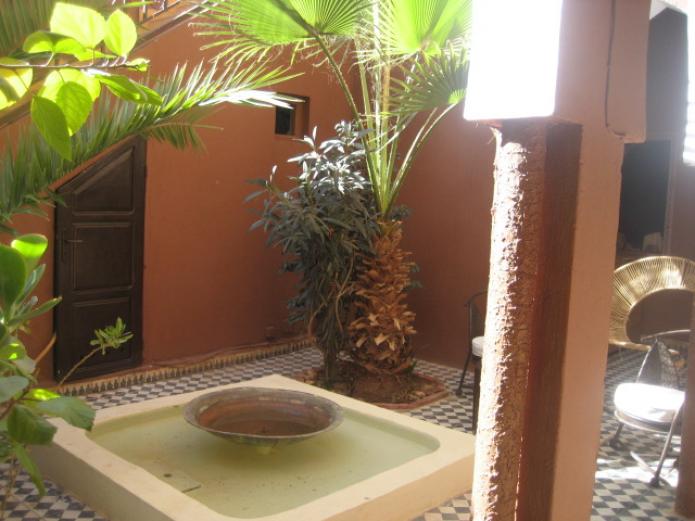 Revista Ecología Espiritual