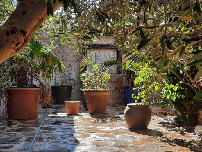 Pastelerías, teterías, cafeterías ecológicas Valladolid