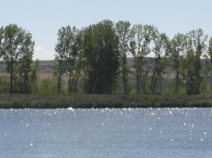 Río en la reserva de Castronuño