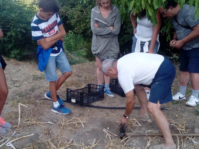 Talleres y cursos de huerto  ecológico - Casa Rural Beautiful Alamedas, Valladolid