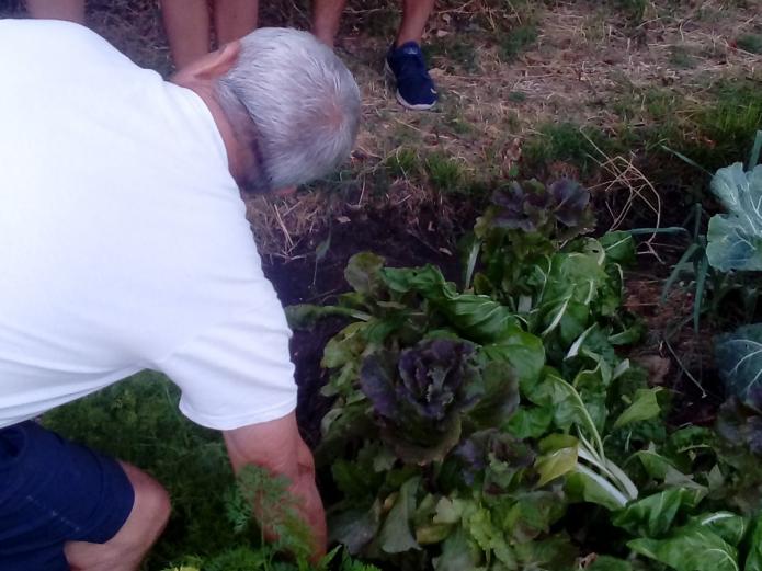 Talleres y cursos de huerto  ecológico - Casa Rural Beautiful Alamedas, Valladolid