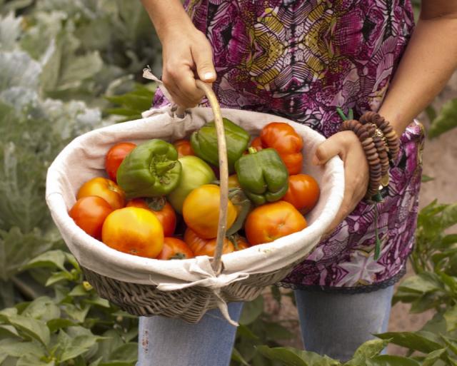 Fruta y verdura ecológica Valladolid