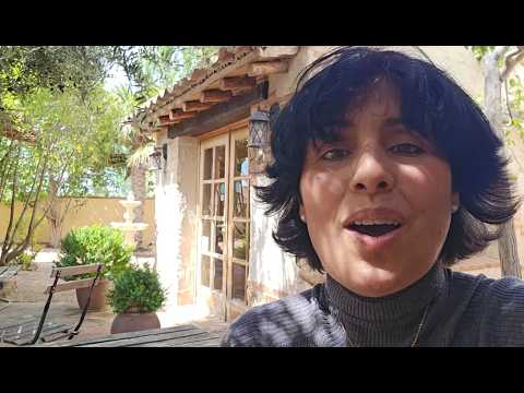 Embedded thumbnail for ¿Cómo ayudar a Palestina?