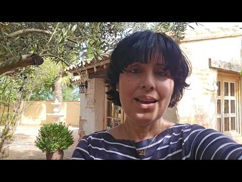 Embedded thumbnail for ¿Cómo ayudar a Gaza?