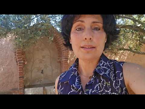 Embedded thumbnail for Oración en arameo, árabe y español por los Palestinos y el Dr. Hussam Abu Safiya