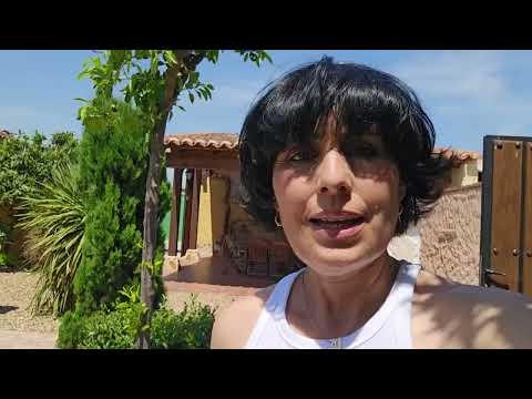 Embedded thumbnail for Pedro Sánchez y el Papa León XIV, la esperanza de Gaza