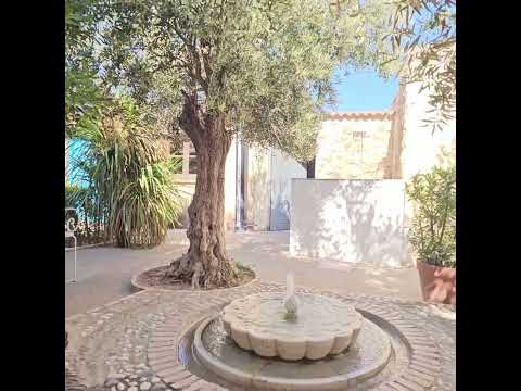 Embedded thumbnail for Beautiful Alamedas, resultado de la meditación