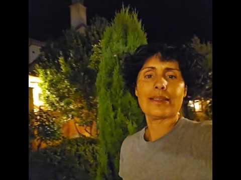 Embedded thumbnail for La noche en el jardín de Beautiful Alamedas | Una oración por los Palestinos